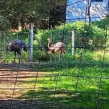 Tatil Evi Casa Da Bouca -