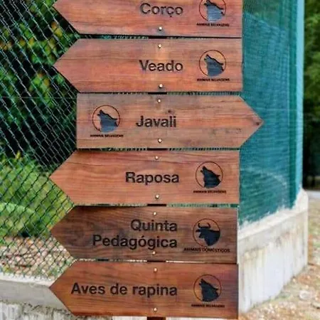 Casa Da Bouca - Tatil Evi