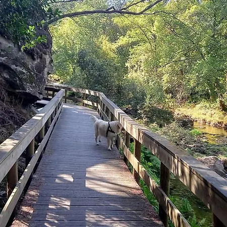 Casa Da Bouca - * Arcos de Valdevez