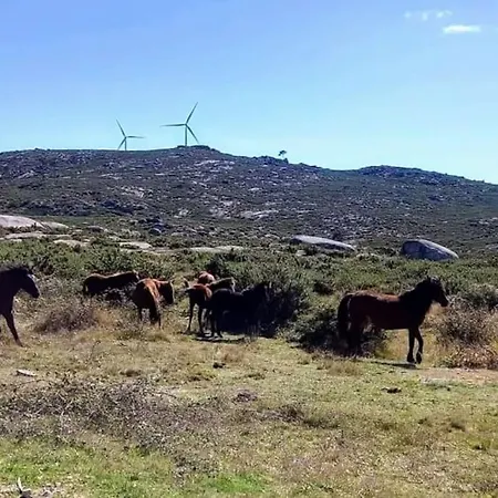 Tatil Evi Casa Da Bouca - Arcos de Valdevez