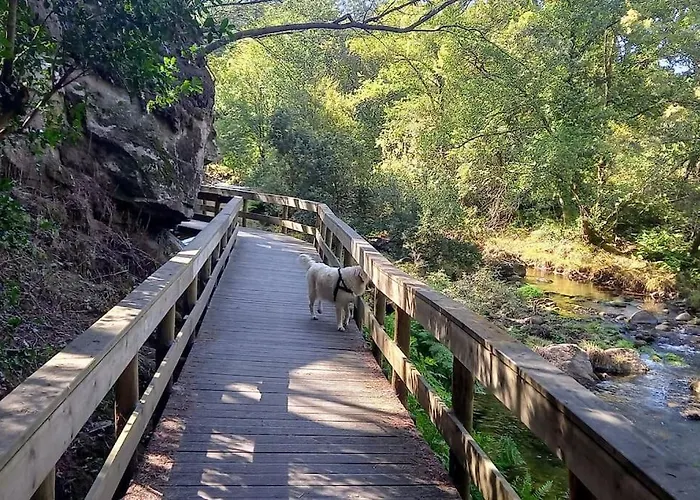 Casa Da Bouca - * Arcos de Valdevez