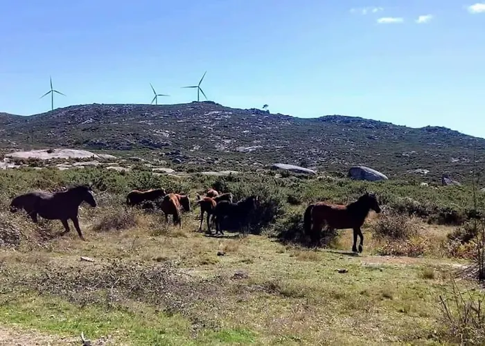 Prázdninový dům Casa Da Bouca - Arcos de Valdevez